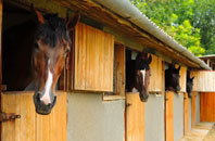 free Netherby stable construction quotes